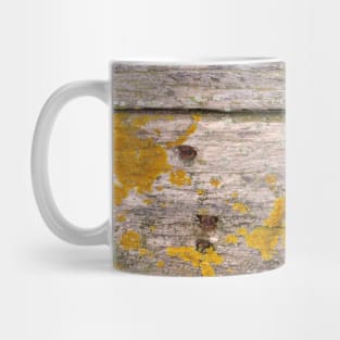 Golden Lichen on weathered wood Mug